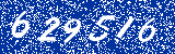 Capcha image