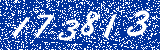 Capcha image