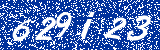 Capcha image