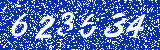 Capcha image